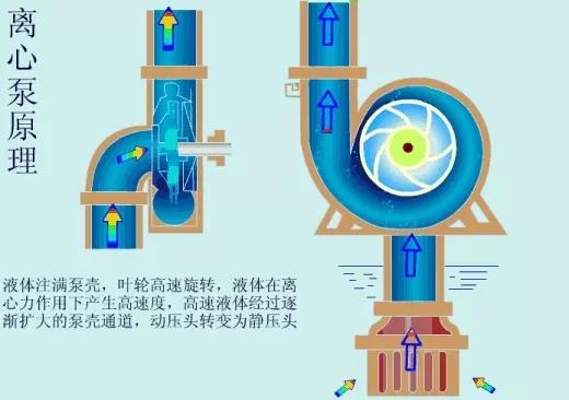 看圖秒懂 36種泵原理 展會(huì)新聞 第13張