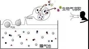 污水廠內(nèi)的生物氣溶膠怎么產(chǎn)生，污水從業(yè)人員如何做好防護(hù)？ 行業(yè)熱點(diǎn) 第3張