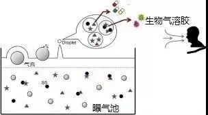 住建部：如何應(yīng)對新冠病毒從馬桶到水環(huán)境的潛在傳輸途徑？ 行業(yè)熱點 第3張