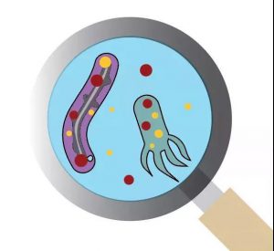 污水廠內(nèi)的生物氣溶膠，污水從業(yè)人員必讀 新聞資訊 第3張