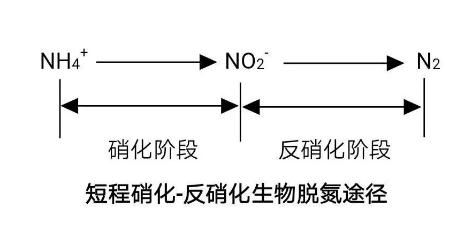 生化法除氨氮的技術(shù)匯總！ 新聞資訊 第3張