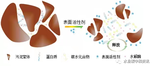 表面活性劑對污水處理效果的影響與機理 新聞資訊 第2張