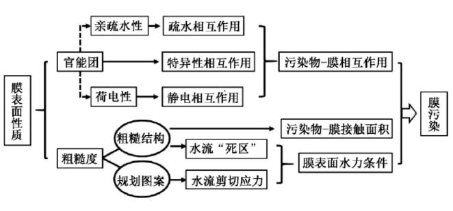 高壓膜表面性質(zhì)對(duì)膜污染的影響機(jī)制 新聞資訊 第1張