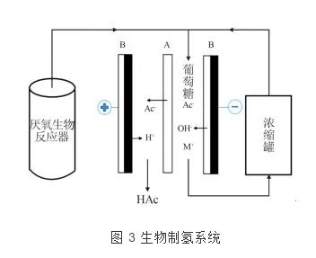 雙極膜電滲析技術(shù)的研究進(jìn)展 新聞資訊 第3張