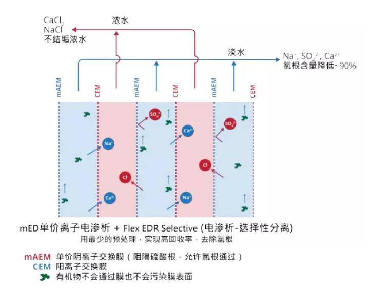 電滲析技術還能這么用！ 新聞資訊 第2張