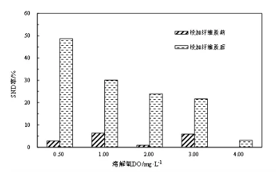 纖維素對污水生物處理系統(tǒng)性能的影響及機(jī)理分析 新聞資訊 第6張