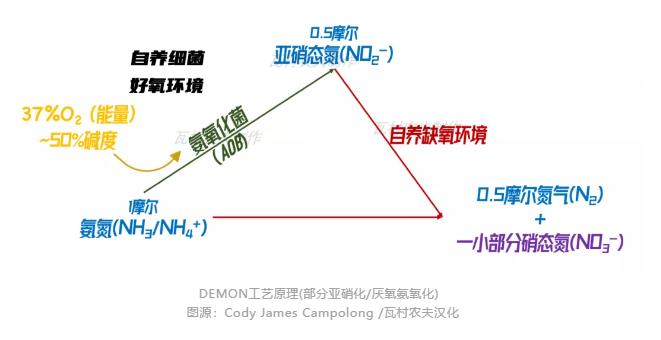 彎路變捷徑！美國首個主流anammox污水廠2023年面世？ 新聞資訊 第1張