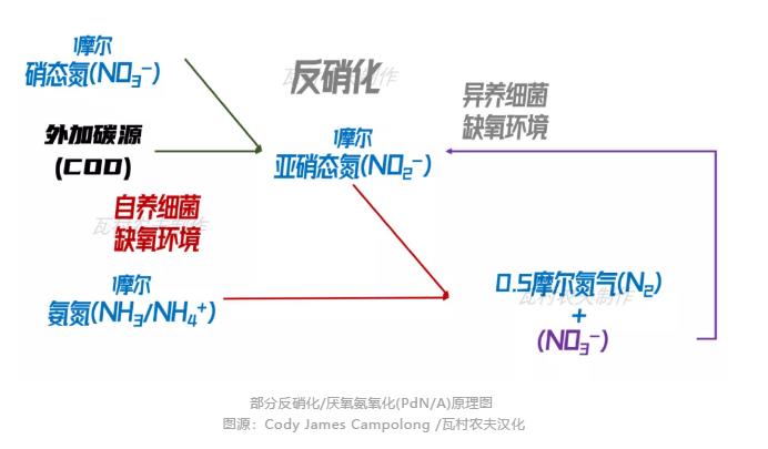 彎路變捷徑！美國首個主流anammox污水廠2023年面世？ 新聞資訊 第2張