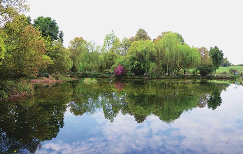 中國(guó)水環(huán)境這座再生水廠的地上與地下都有什么？ 行業(yè)熱點(diǎn) 第3張