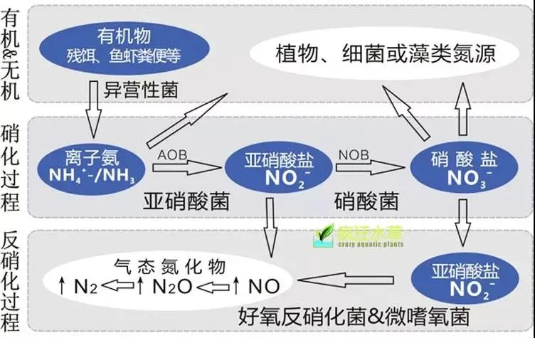 流體展|面對低濃度氨氮工業(yè)廢水束手無策？這幾種方法可以解決 行業(yè)熱點 第3張