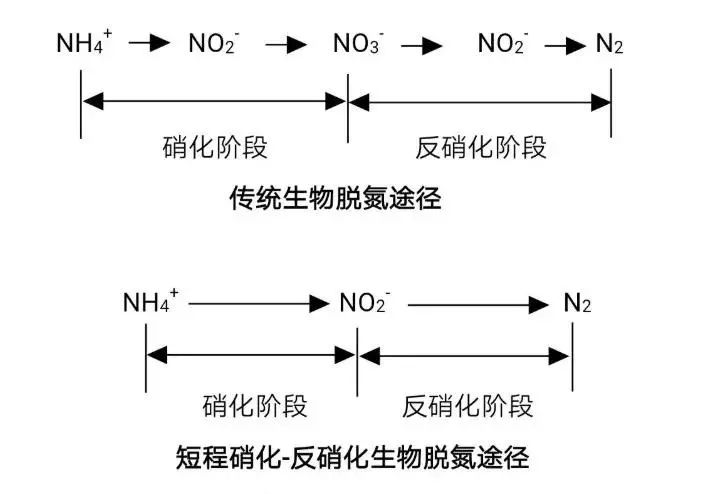 流體展|面對低濃度氨氮工業(yè)廢水束手無策？這幾種方法可以解決 行業(yè)熱點 第4張