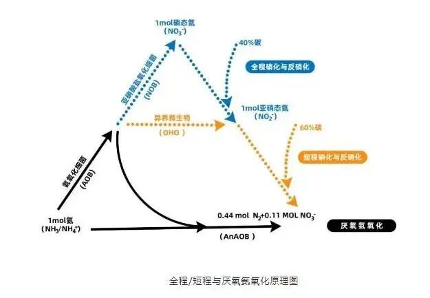 流體展|面對低濃度氨氮工業(yè)廢水束手無策？這幾種方法可以解決 行業(yè)熱點 第5張