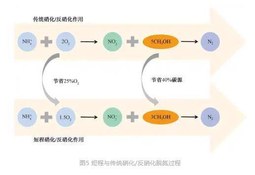 流體展|城鎮(zhèn)污水處理廠節(jié)能減碳實(shí)現(xiàn)路徑與技術(shù)探討 行業(yè)熱點(diǎn) 第7張